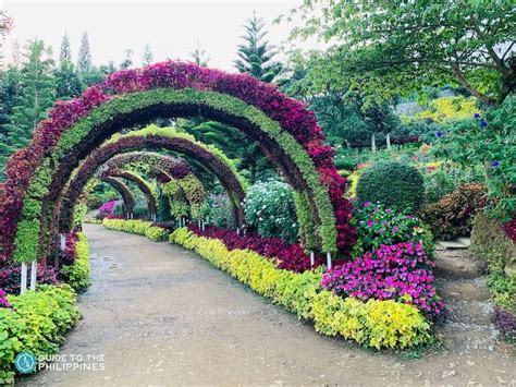 botanical gardens philippines|Top 10 Beautiful Flower Farms and Gardens in the Philippines.